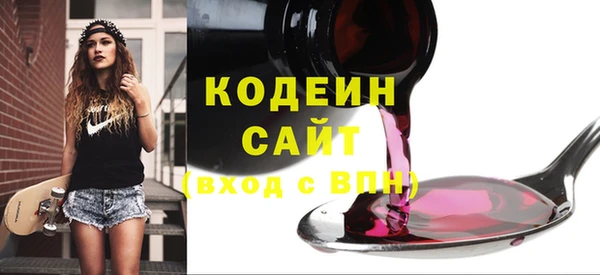 прущий лед Алзамай