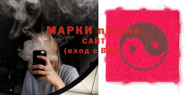 прущий лед Алзамай